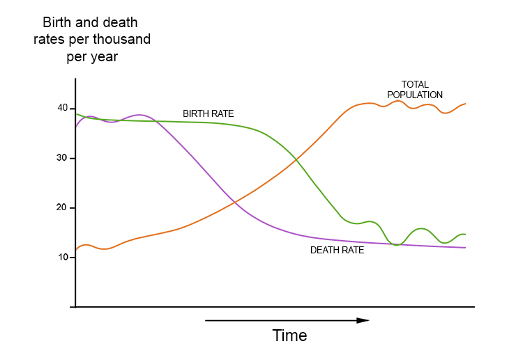 This reminds you that a demographic transition model is a graph showing the birth rate, death rate and population size over time, as below: